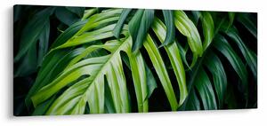 Kép - trópusi levelek (120x50 cm)