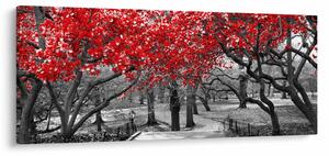 Kép - vörös fák,Central Park, New York (120x50 cm)