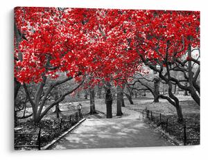 Kép - vörös fák,Central Park, New York (70x50 cm)