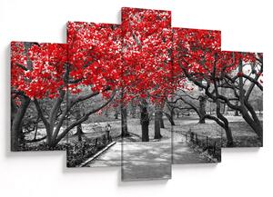 Kép - vörös fák,Central Park, New York (150x105 cm)