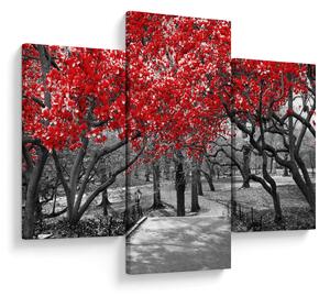 Kép - vörös fák,Central Park, New York (90x60 cm)