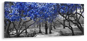 Kép - Kék fák, Central Park, New York (120x50 cm)