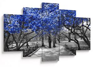 Kép - Kék fák, Central Park, New York (150x105 cm)