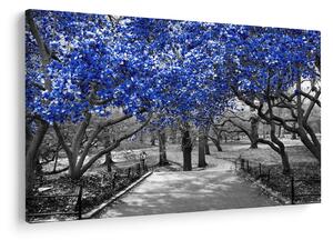 Kép - Kék fák, Central Park, New York (90x60 cm)