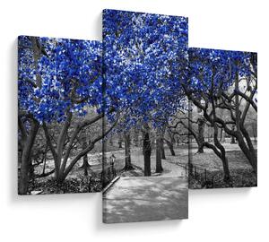 Kép - Kék fák, Central Park, New York (90x60 cm)