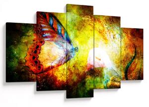 Kép - Kozmikus pillangó (150x105 cm)