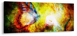 Kép - Kozmikus pillangó (120x50 cm)