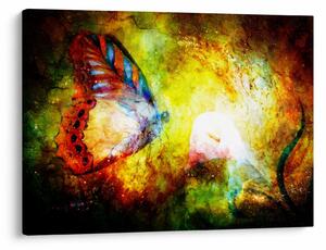Kép - Kozmikus pillangó (70x50 cm)