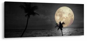 Kép - A strand a telihold alatt szürke tónusokkal (120x50 cm)