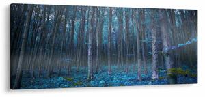 Kép - varázslatos erdő (120x50 cm)