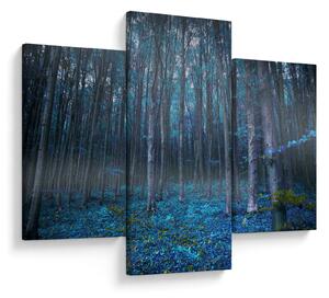 Kép - varázslatos erdő (90x60 cm)