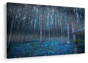 Kép - varázslatos erdő (90x60 cm)