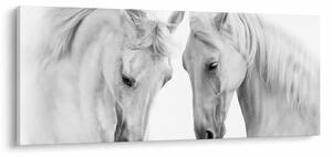 Fehér lovak képe (120x50 cm)