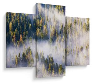 Fák képe a ködben (90x60 cm)