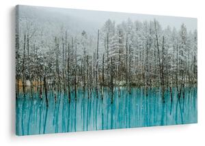 Kép - Türkiz tó, Biei, Japán (90x60 cm)