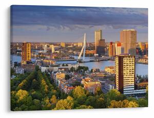 Kép - panoráma Rotterdam, Hollandia (70x50 cm)