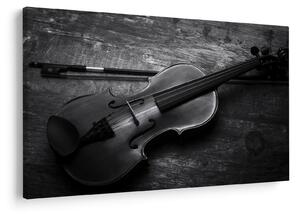Kép - Viola (90x60 cm)