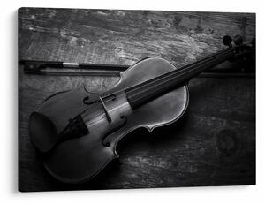 Kép - Viola (70x50 cm)