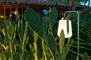 Kaktuszzöld kültéri lámpa Fermob Balad 25 cm