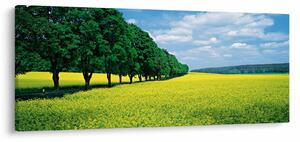 A mező képe egy sikátorral (120x50 cm)