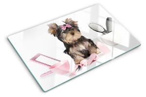 Üveg vágódeszka fényképpel Yorkshire Terrier ápolási kellékekkel