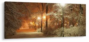 Kép - havas park (120x50 cm)