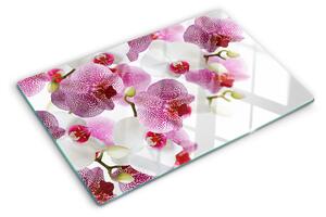 Edzett üveg vágódeszka Orchideák az ablak hátterében