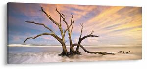 Egy fa képe az óceánban (120x50 cm)