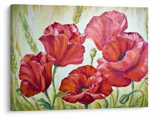 Kép - Pipacsvirágok (70x50 cm)