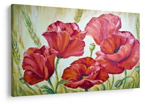 Kép - Pipacsvirágok (90x60 cm)