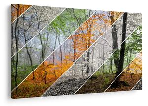 Kép - Változó évszakok (90x60 cm)