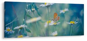 Kép - pillangó a százszorszépen (120x50 cm)