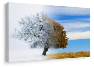 Kép - Évszakváltás (90x60 cm)