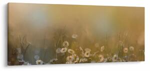 Kép - százszorszép olajfestmény (120x50 cm)