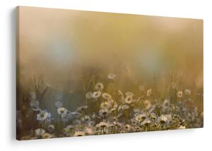 Kép - százszorszép olajfestmény (90x60 cm)