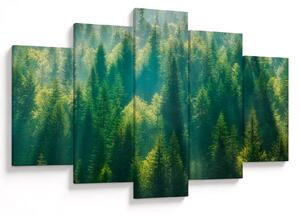 Kép - fenyőerdő (150x105 cm)