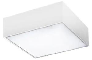 LED mennyezeti lámpa Monza S 22 4000K fehér