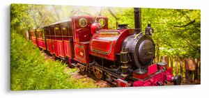 Egy gőzvonat képe (120x50 cm)