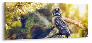 Egy bagoly képe a fán (120x50 cm)