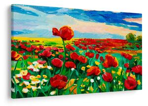Kép egy mező mákkal (90x60 cm)