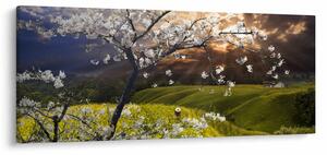 Kép - Virágzó fa az országban (120x50 cm)