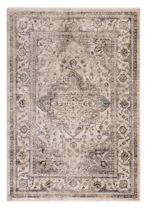 Bézs szőnyeg 200x290 cm Sovereign – Asiatic Carpets