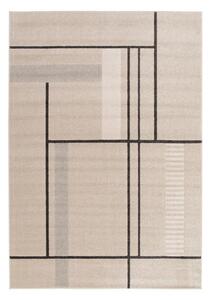 Bézs szőnyeg 160x230 cm Domus – Universal