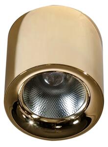 Led spotlámpa Mane 30W arany