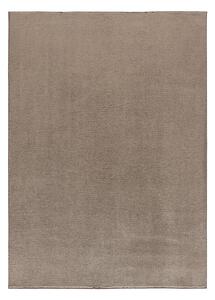 Barna mikroszálas szőnyeg 120x170 cm Coraline Liso – Universal