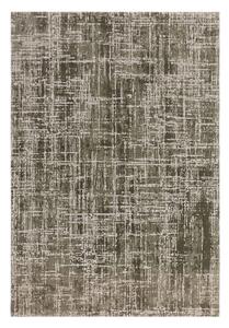 Khaki szőnyeg 120x170 cm Kuza – Asiatic Carpets