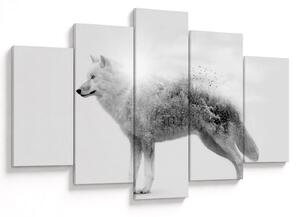 Kép - Vad tájat tükröző sarkvidéki farkas, fekete-fehér (150x105 cm)