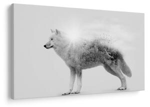Kép - Vad tájat tükröző sarkvidéki farkas, fekete-fehér (90x60 cm)