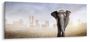 Kép - Elefánt egy nagyvárosban (120x50 cm)