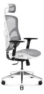 DIABLO V-BASIC ergonomikus irodai szék: Fehér-szürke Diablochairs I4-YOQ9-LBXR